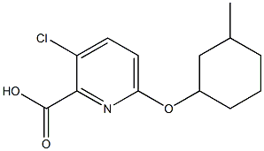 3-chloro-6-[(3-methylcyclohexyl)oxy]pyridine-2-carboxylic acid Struktur