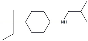 4-(2-methylbutan-2-yl)-N-(2-methylpropyl)cyclohexan-1-amine Struktur