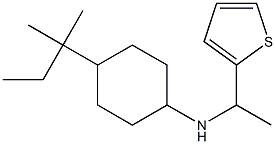 4-(2-methylbutan-2-yl)-N-[1-(thiophen-2-yl)ethyl]cyclohexan-1-amine Struktur