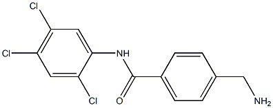 4-(aminomethyl)-N-(2,4,5-trichlorophenyl)benzamide Struktur