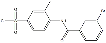 4-[(3-bromobenzene)amido]-3-methylbenzene-1-sulfonyl chloride Struktur