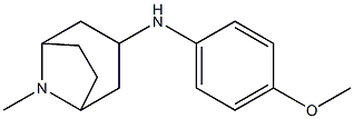 N-(4-methoxyphenyl)-8-methyl-8-azabicyclo[3.2.1]octan-3-amine Struktur