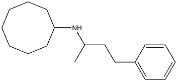 N-(4-phenylbutan-2-yl)cyclooctanamine Struktur