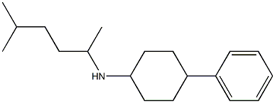 N-(5-methylhexan-2-yl)-4-phenylcyclohexan-1-amine Struktur