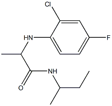 N-(butan-2-yl)-2-[(2-chloro-4-fluorophenyl)amino]propanamide Struktur