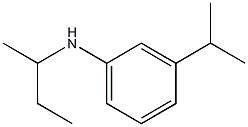 N-(butan-2-yl)-3-(propan-2-yl)aniline Struktur