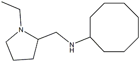 N-[(1-ethylpyrrolidin-2-yl)methyl]cyclooctanamine Struktur