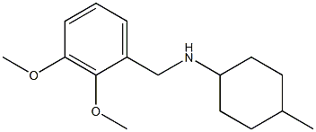 N-[(2,3-dimethoxyphenyl)methyl]-4-methylcyclohexan-1-amine Struktur