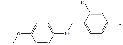 N-[(2,4-dichlorophenyl)methyl]-4-ethoxyaniline Struktur