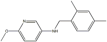 N-[(2,4-dimethylphenyl)methyl]-6-methoxypyridin-3-amine Struktur