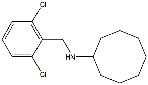 N-[(2,6-dichlorophenyl)methyl]cyclooctanamine Struktur