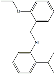 N-[(2-ethoxyphenyl)methyl]-2-(propan-2-yl)aniline Struktur