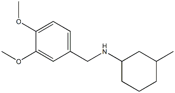 N-[(3,4-dimethoxyphenyl)methyl]-3-methylcyclohexan-1-amine Struktur