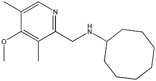 N-[(4-methoxy-3,5-dimethylpyridin-2-yl)methyl]cyclooctanamine Struktur