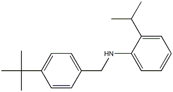 N-[(4-tert-butylphenyl)methyl]-2-(propan-2-yl)aniline Struktur