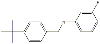 N-[(4-tert-butylphenyl)methyl]-3-fluoroaniline Struktur