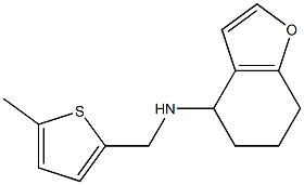 N-[(5-methylthiophen-2-yl)methyl]-4,5,6,7-tetrahydro-1-benzofuran-4-amine Struktur