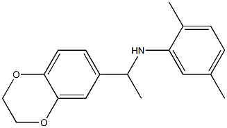 N-[1-(2,3-dihydro-1,4-benzodioxin-6-yl)ethyl]-2,5-dimethylaniline Struktur