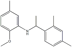 N-[1-(2,4-dimethylphenyl)ethyl]-2-methoxy-5-methylaniline Struktur