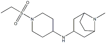 N-[1-(ethanesulfonyl)piperidin-4-yl]-8-methyl-8-azabicyclo[3.2.1]octan-3-amine Struktur