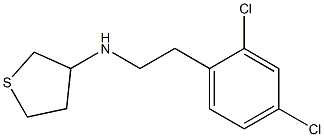 N-[2-(2,4-dichlorophenyl)ethyl]thiolan-3-amine Struktur