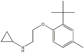 N-[2-(2-tert-butyl-4-methylphenoxy)ethyl]cyclopropanamine Struktur