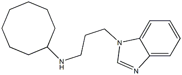 N-[3-(1H-1,3-benzodiazol-1-yl)propyl]cyclooctanamine Struktur