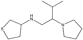 N-[3-methyl-2-(pyrrolidin-1-yl)butyl]thiolan-3-amine Struktur