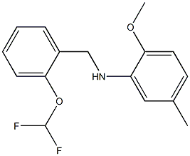 N-{[2-(difluoromethoxy)phenyl]methyl}-2-methoxy-5-methylaniline Struktur