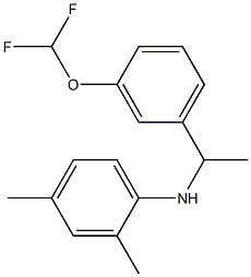 N-{1-[3-(difluoromethoxy)phenyl]ethyl}-2,4-dimethylaniline Struktur