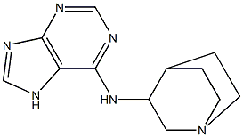 N-{1-azabicyclo[2.2.2]octan-3-yl}-7H-purin-6-amine Struktur