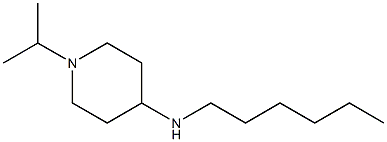 N-hexyl-1-(propan-2-yl)piperidin-4-amine Struktur