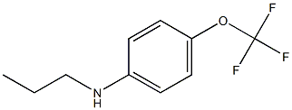 N-propyl-4-(trifluoromethoxy)aniline Struktur