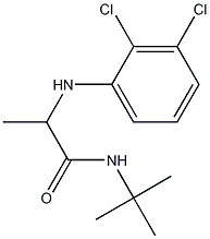 N-tert-butyl-2-[(2,3-dichlorophenyl)amino]propanamide Struktur