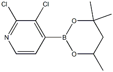 2,3-Dichloro-4-(4,4,6-trimethyl-1,3,2-dioxaborinan-2-yl)pyridine Struktur