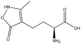 (S)-2-Amino-4-[(2,5-dihydro-3-methyl-5-oxoisoxazol)-4-yl]butyric acid Struktur