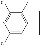 2,6-Dichloro-3-methyl-4-tert-butylpyridine Struktur