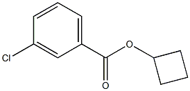 3-Chlorobenzoic acid cyclobutyl ester Struktur