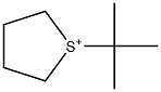 1-tert-Butylthiolan-1-ium Struktur