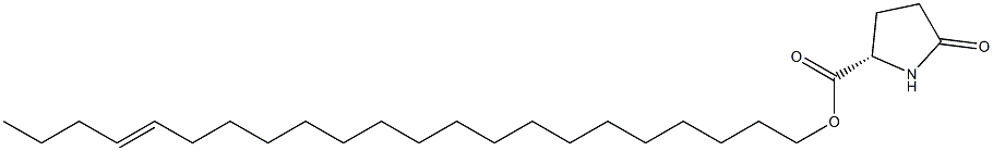 (S)-5-Oxopyrrolidine-2-carboxylic acid 18-docosenyl ester Struktur