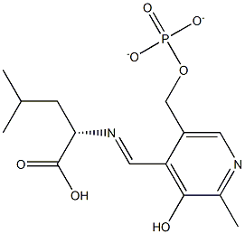 N-[[3-Hydroxy-2-methyl-5-[(phosphonatooxy)methyl]pyridin-4-yl]methylene]-L-leucine Struktur