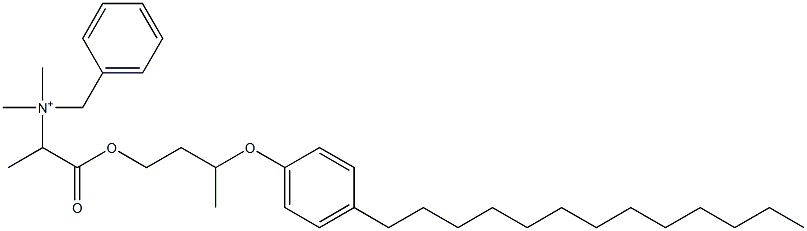 N,N-Dimethyl-N-benzyl-N-[1-[[3-(4-tridecylphenyloxy)butyl]oxycarbonyl]ethyl]aminium Struktur