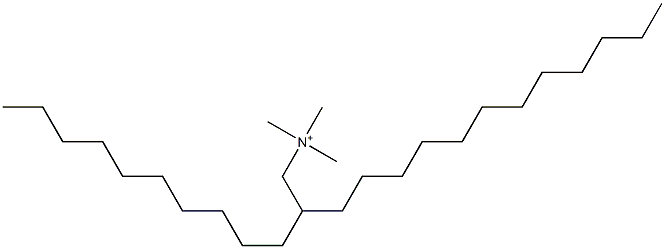 2-Decyltetradecyltrimethylaminium Struktur