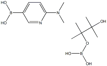 6-(Dimethylamino)-3-pyridinyl boronic acid
pinacol borate Struktur