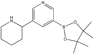 3-(4,4,5,5-tetraMethyl-1,3,2-dioxaborolan-2-yl)-5-(piperidin-2-yl)pyridine Struktur