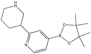 4-(4,4,5,5-tetraMethyl-1,3,2-dioxaborolan-2-yl)-2-(piperidin-3-yl)pyridine Struktur