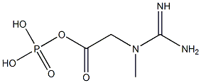 Creatine Phosphate Impurity 4 Struktur