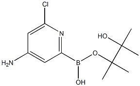 6-CHLORO-4-AMINOPYRIDINE-2-BORONIC ACID PINACOL ESTER Struktur