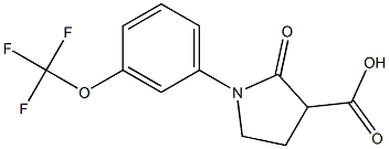 2-oxo-1-[3-(trifluoromethoxy)phenyl]pyrrolidine-3-carboxylic acid Struktur