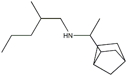 (1-{bicyclo[2.2.1]heptan-2-yl}ethyl)(2-methylpentyl)amine Struktur